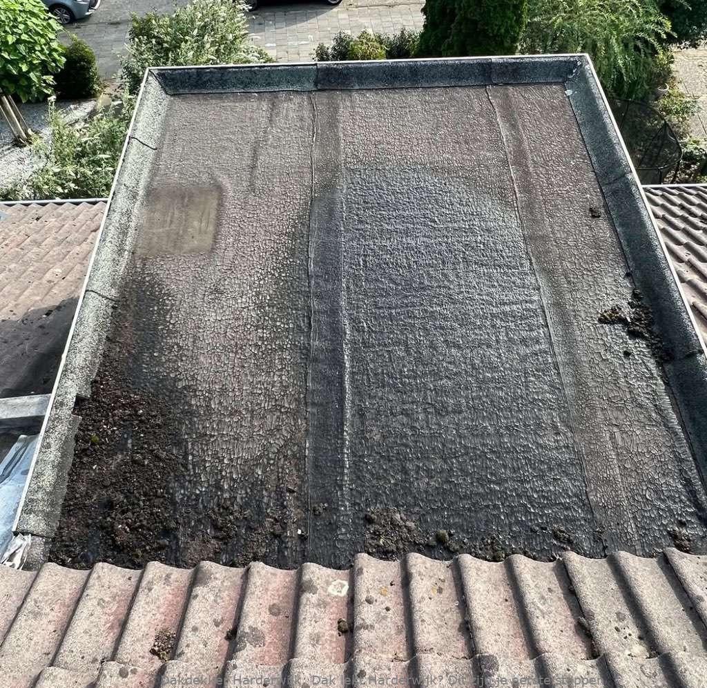Dak Lekt Harderwijk