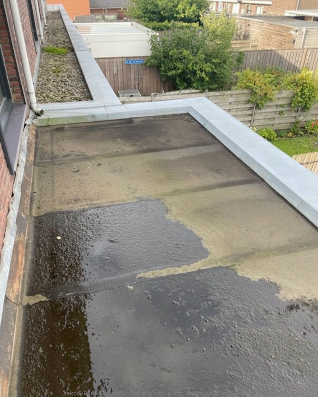 Dakinspectie platte daken Harderwijk: wat je moet weten