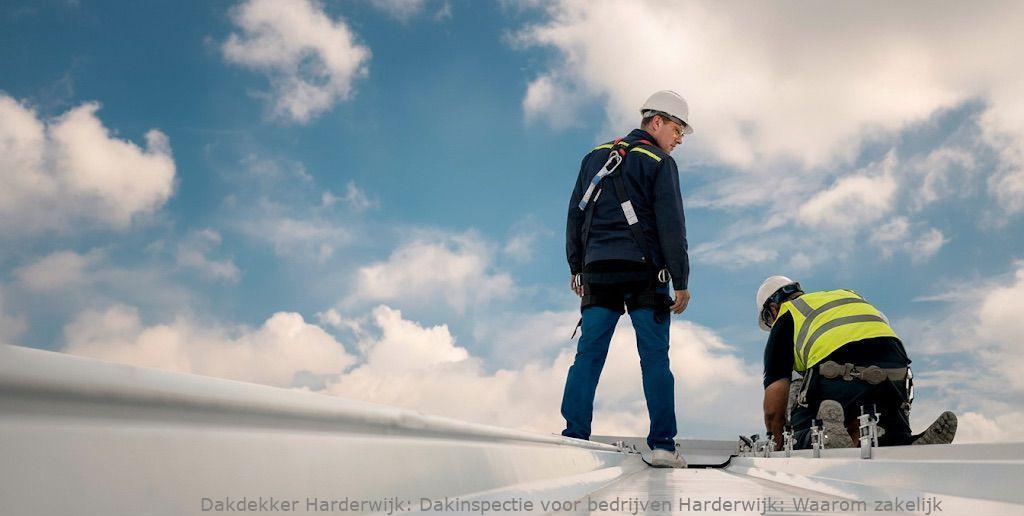 Dakinspectie voor bedrijven Harderwijk: Waarom zakelijk