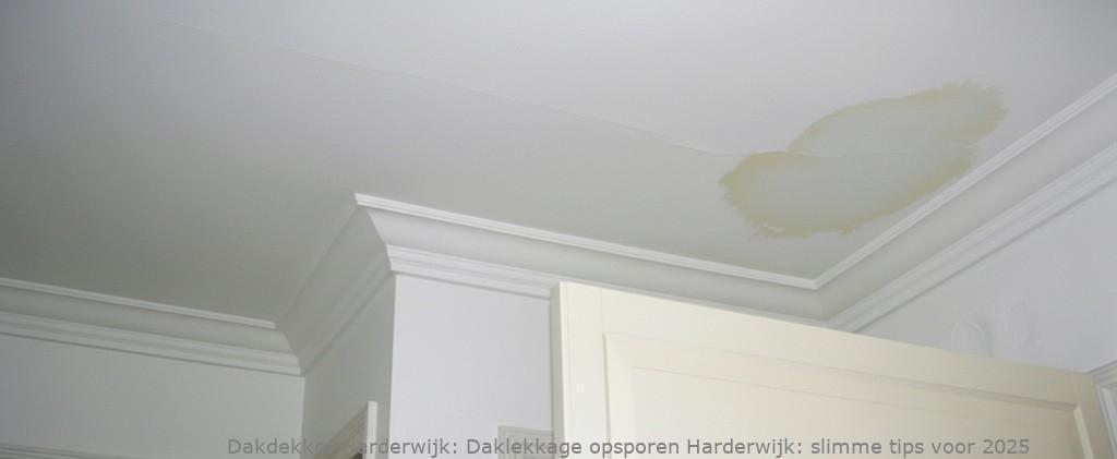 Daklekkage Opsporen Harderwijk 1