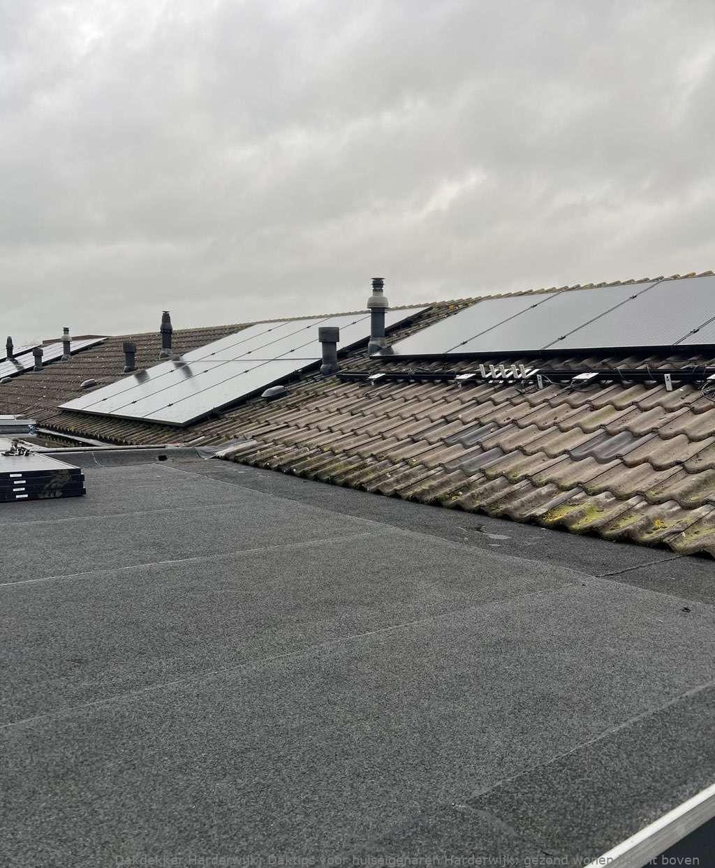 Daktips voor huiseigenaren Harderwijk: gezond wonen begint boven