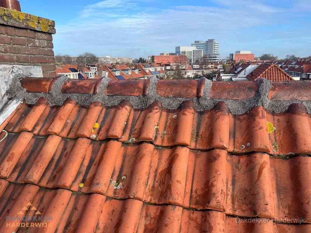 Harderwijk Daken Renoveren