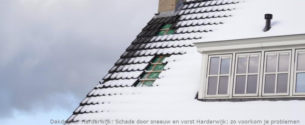 Schade Door Sneeuw En Vorst Harderwijk