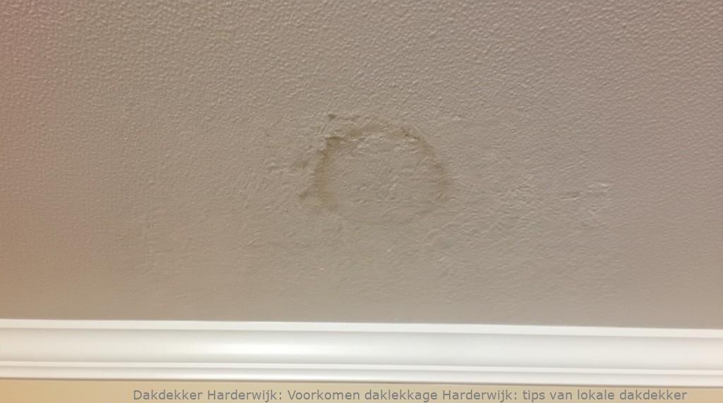 Voorkomen Daklekkage Harderwijk
